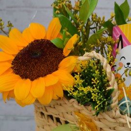 a22ac797a5cb72eee5c1ff9a27eb5c26