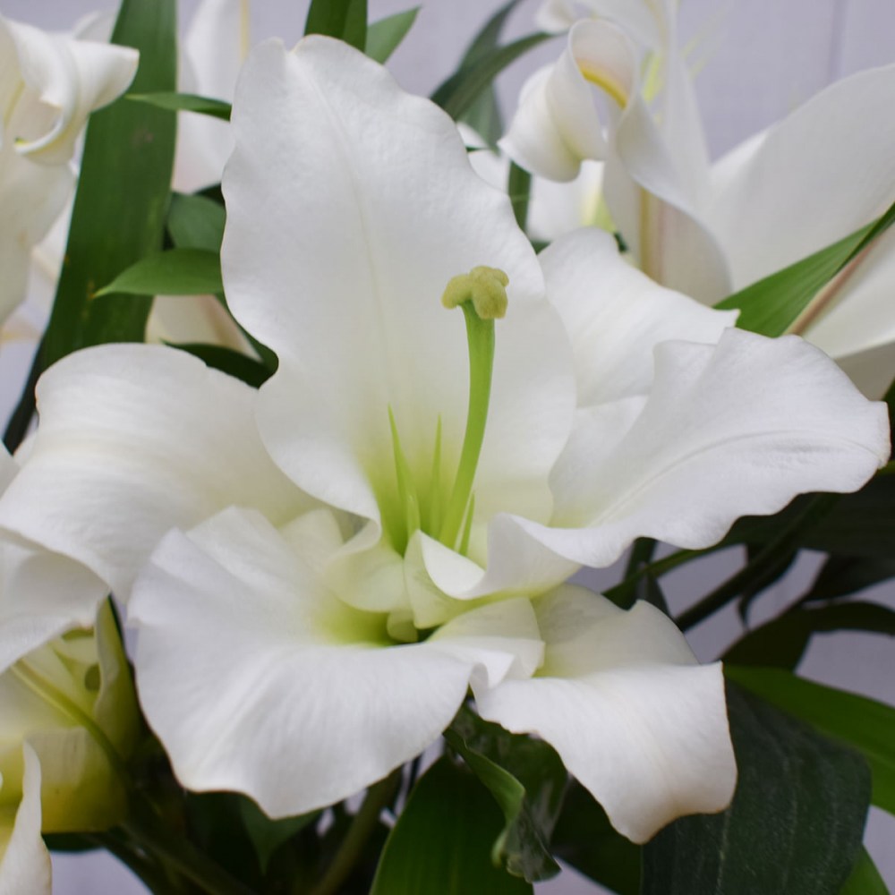 a2607d74506944f3f07b4a5fb4d075dd