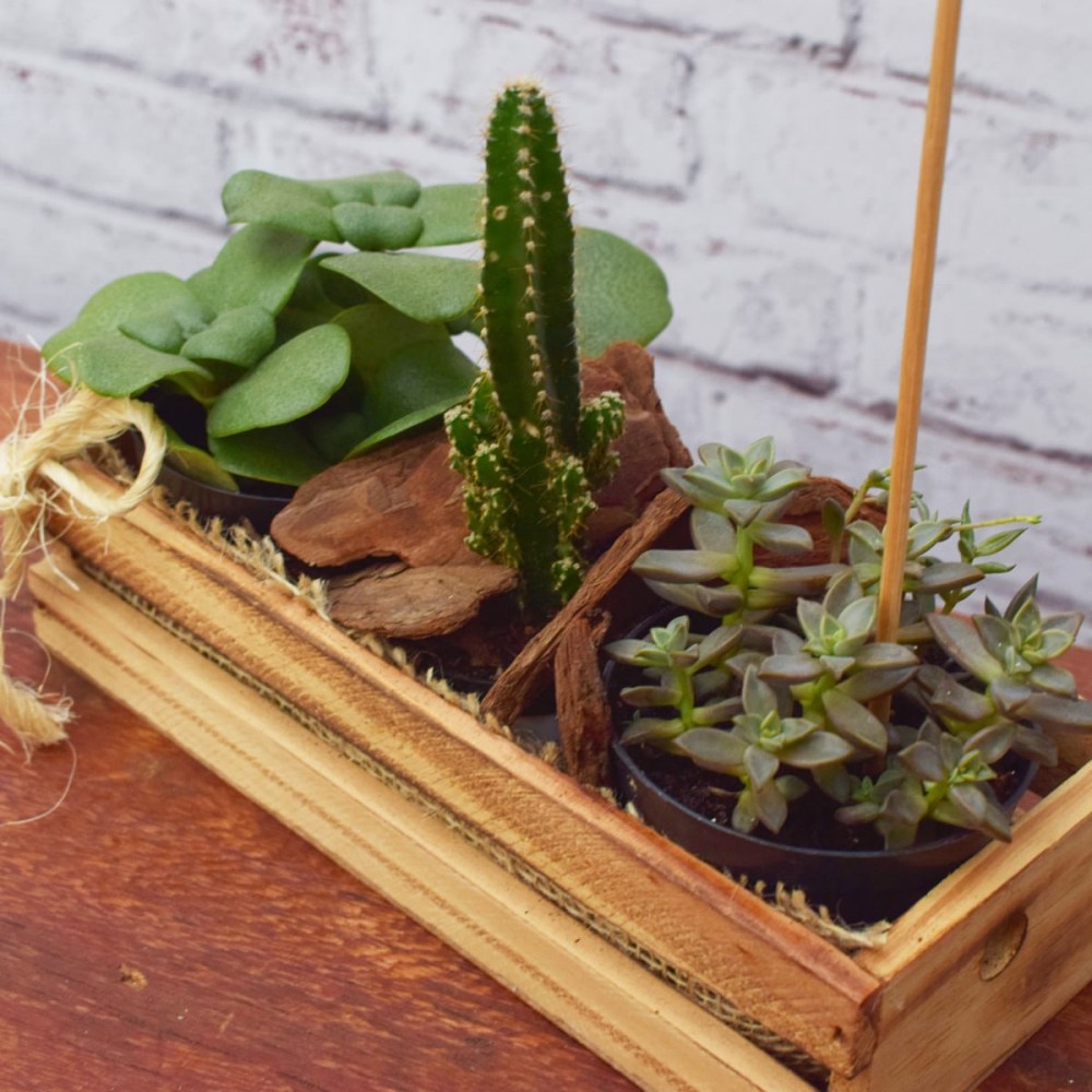 a41f190e2556619c12e3f9b393cb0bae