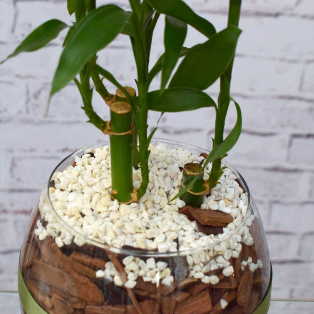 a5325fc4ca802a85e361516efba5d1d7