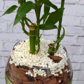 a5325fc4ca802a85e361516efba5d1d7