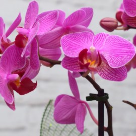 a5d9e133f4b704d93e89ce48014b55c7