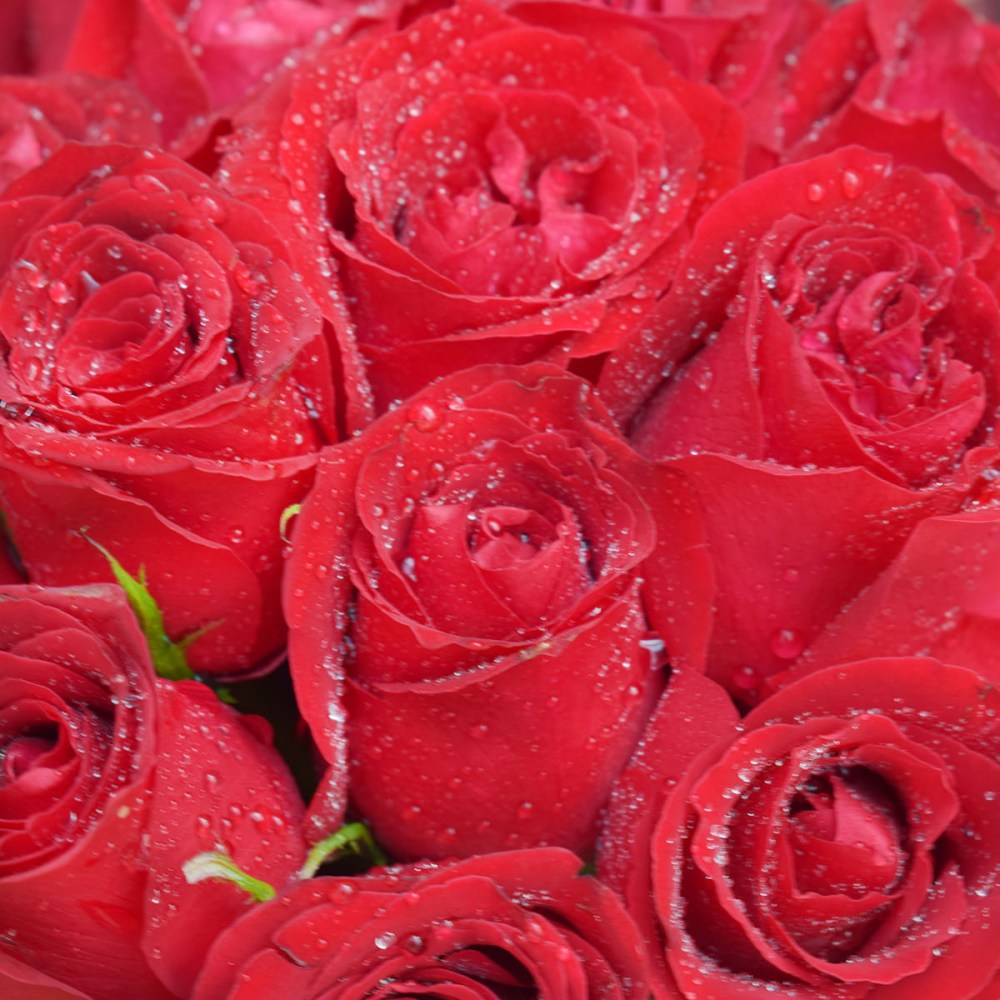 a864685f4bd258dff76bc7cca064fbca