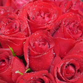 a864685f4bd258dff76bc7cca064fbca