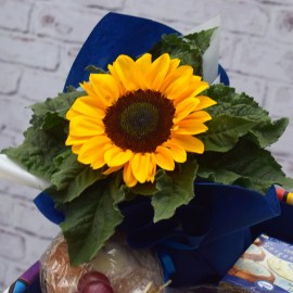 a8fb5a8f511a665e4cced9a6e627c556