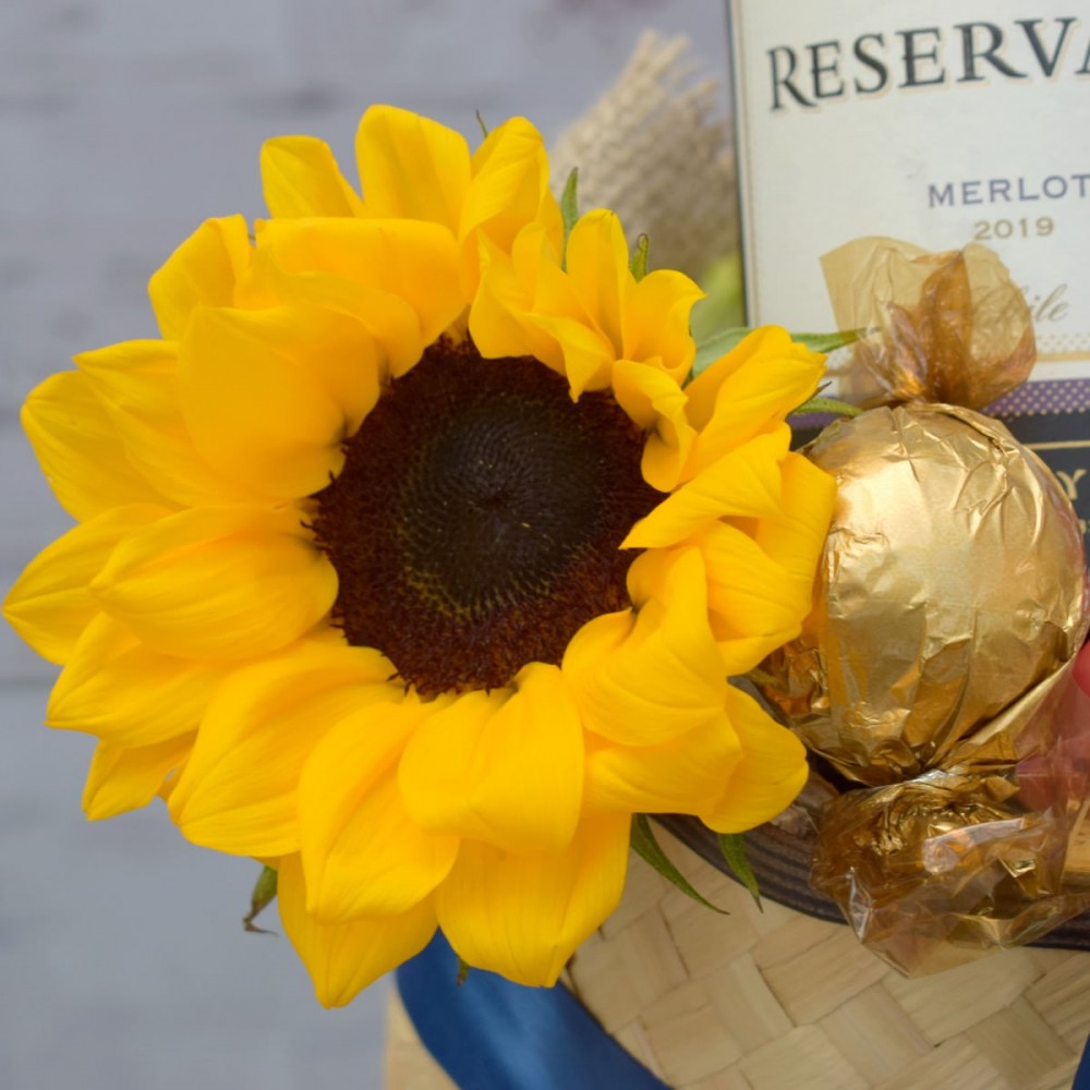 ae209a1771241b21b4f77b9e3c502463