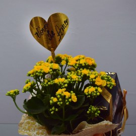 aed9600f8ef94dd55efa3aa8b1219147