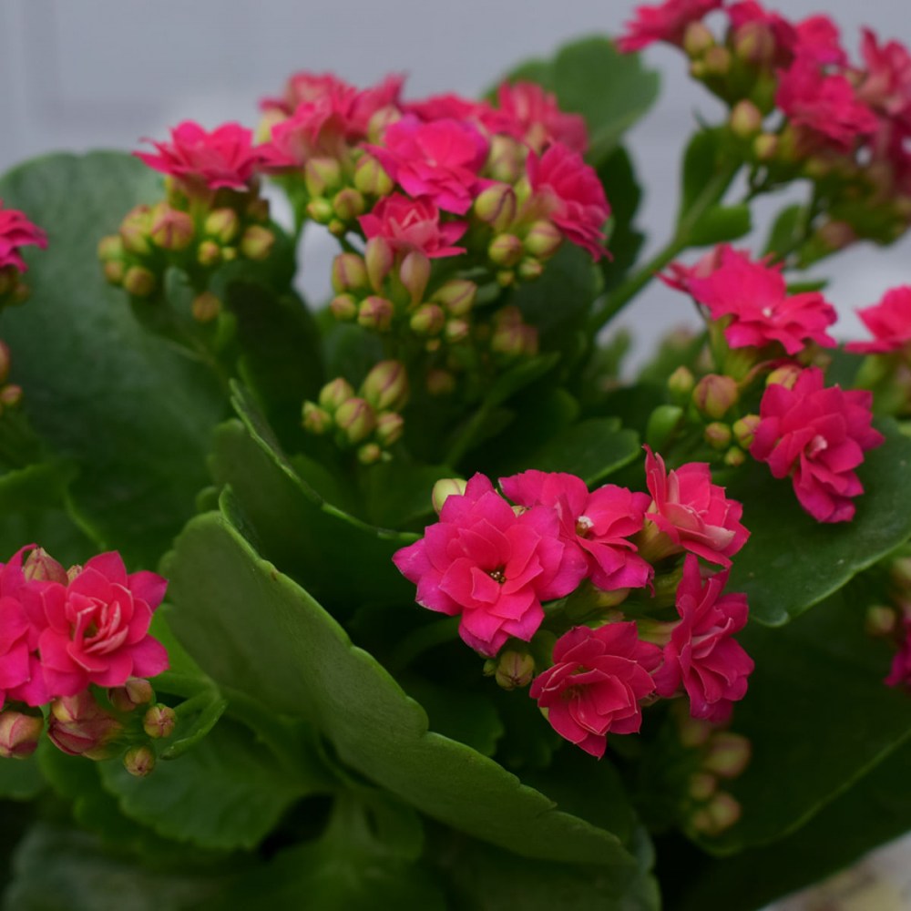 b04fc46eba40089a35d0e273ad053459