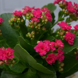 b04fc46eba40089a35d0e273ad053459