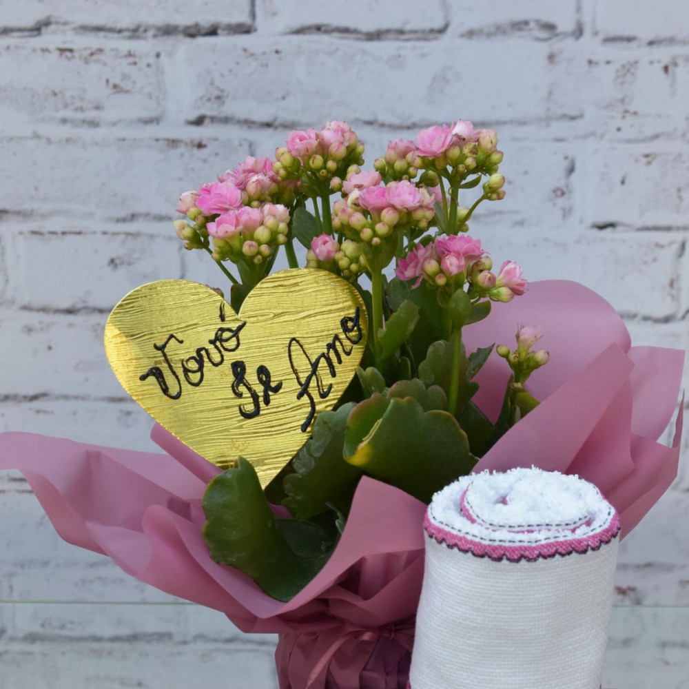 b201ac6d2bc94a9b52522a624871498c