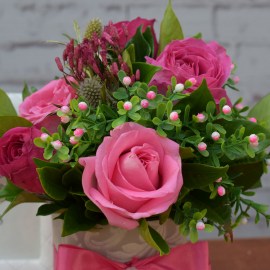 b22a20c02bcea549efe0023515e42bd8