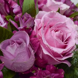 b29118972c38944d49d0520dd15fedda