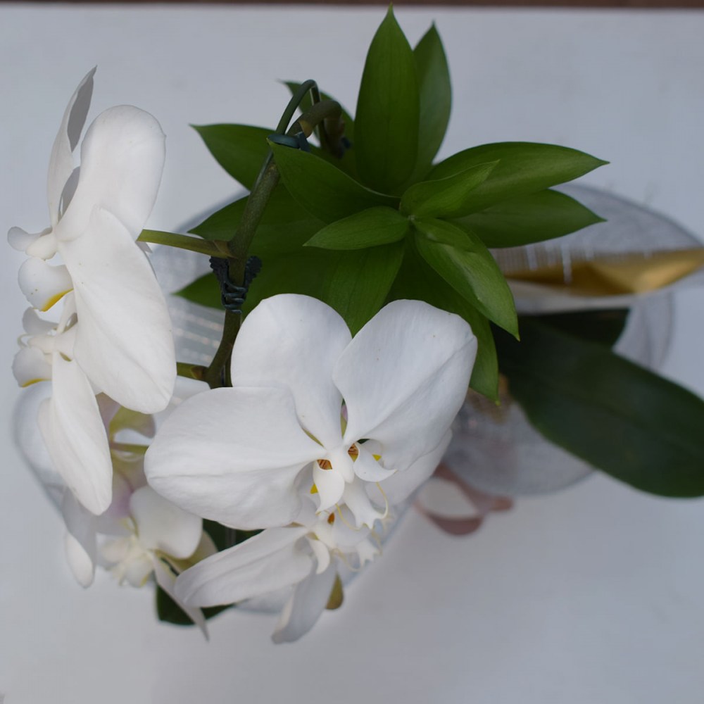 b53b153d111e311433bd160e215242f8