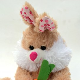 b54724313c08cf134cb698fab22dccc6