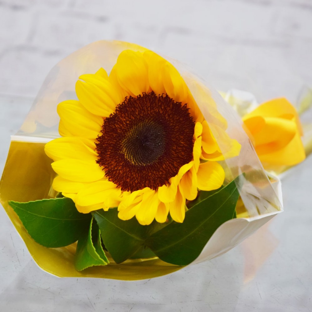 b7488c496ebdc4305169bd79c5bdaa45