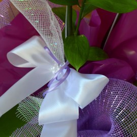 b89d63116609b3cf57d91631626851c9