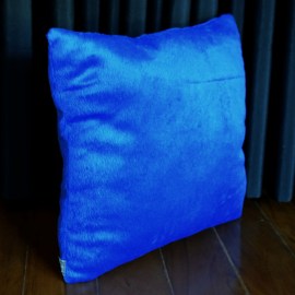 b986db7e6e5e8bb51318b75ec44b26b0