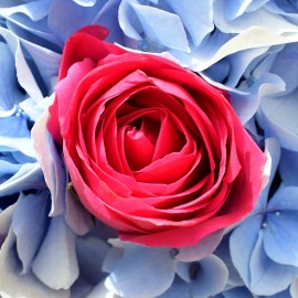 baa8487de52dcb495d1c7c70fbab6e38