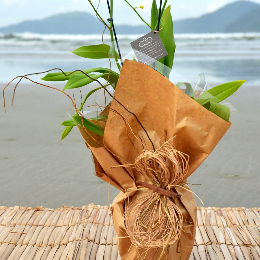 bc971f6081d09c2a59e85839ee538fb5