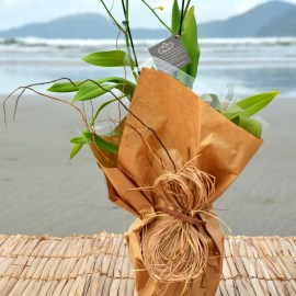 bc971f6081d09c2a59e85839ee538fb5