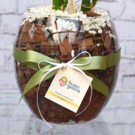 c05ba507bc7fd6313e0c50bb9a905d87