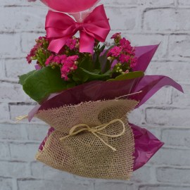 c287dc4d19e30025f3f13d293ddd497c