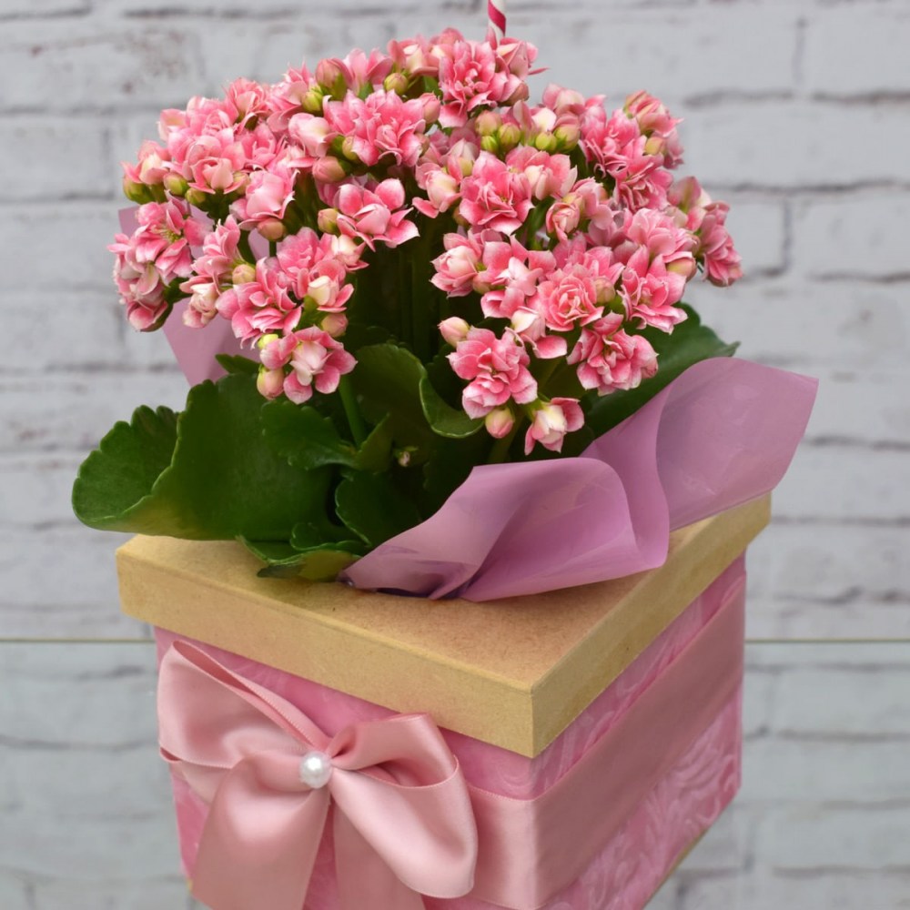 c4fe0a5cc32210ff5d17dec4335464ae