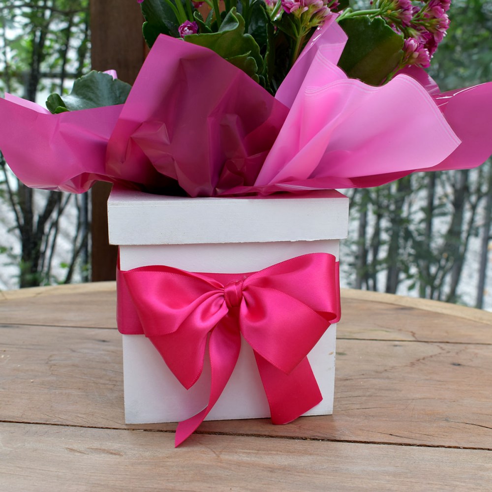 c66d06723864506631563a2c6f6929a0