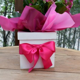 c66d06723864506631563a2c6f6929a0