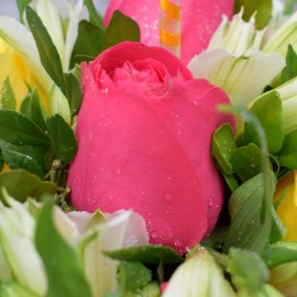 c69af9d9ab58cfa78d344d6d717b9ef4