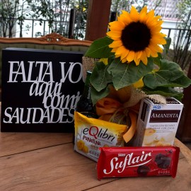 c6a33af4af9e143471929640ff170b20