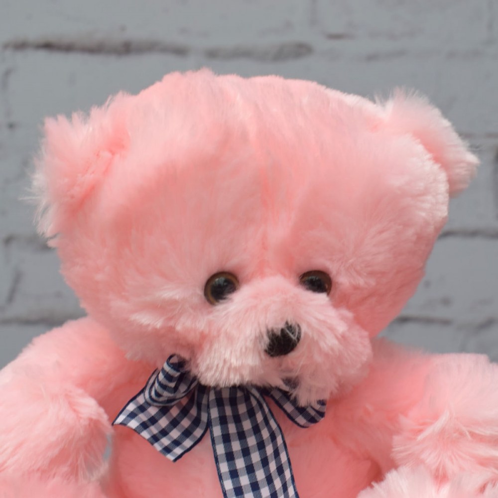 c6ce8df7f9ab9a314175a3f7d4488e58