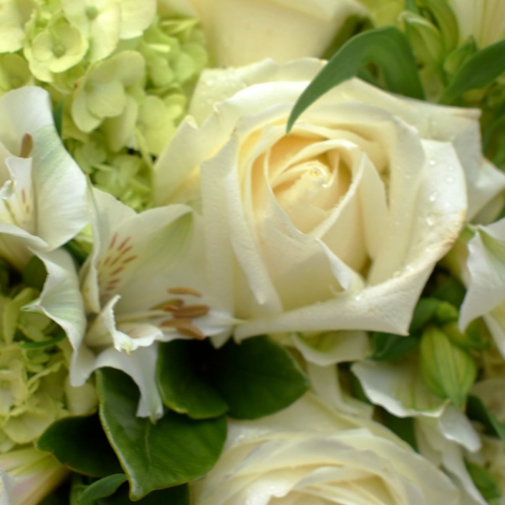 c93c6b8e5386acce9521817017ba70dd