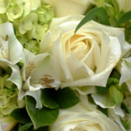 c93c6b8e5386acce9521817017ba70dd