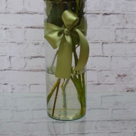 c95e996e7d4ee73d4af21726d128ab64