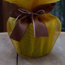 c9ec02c85733e468e938cf56bba5c740