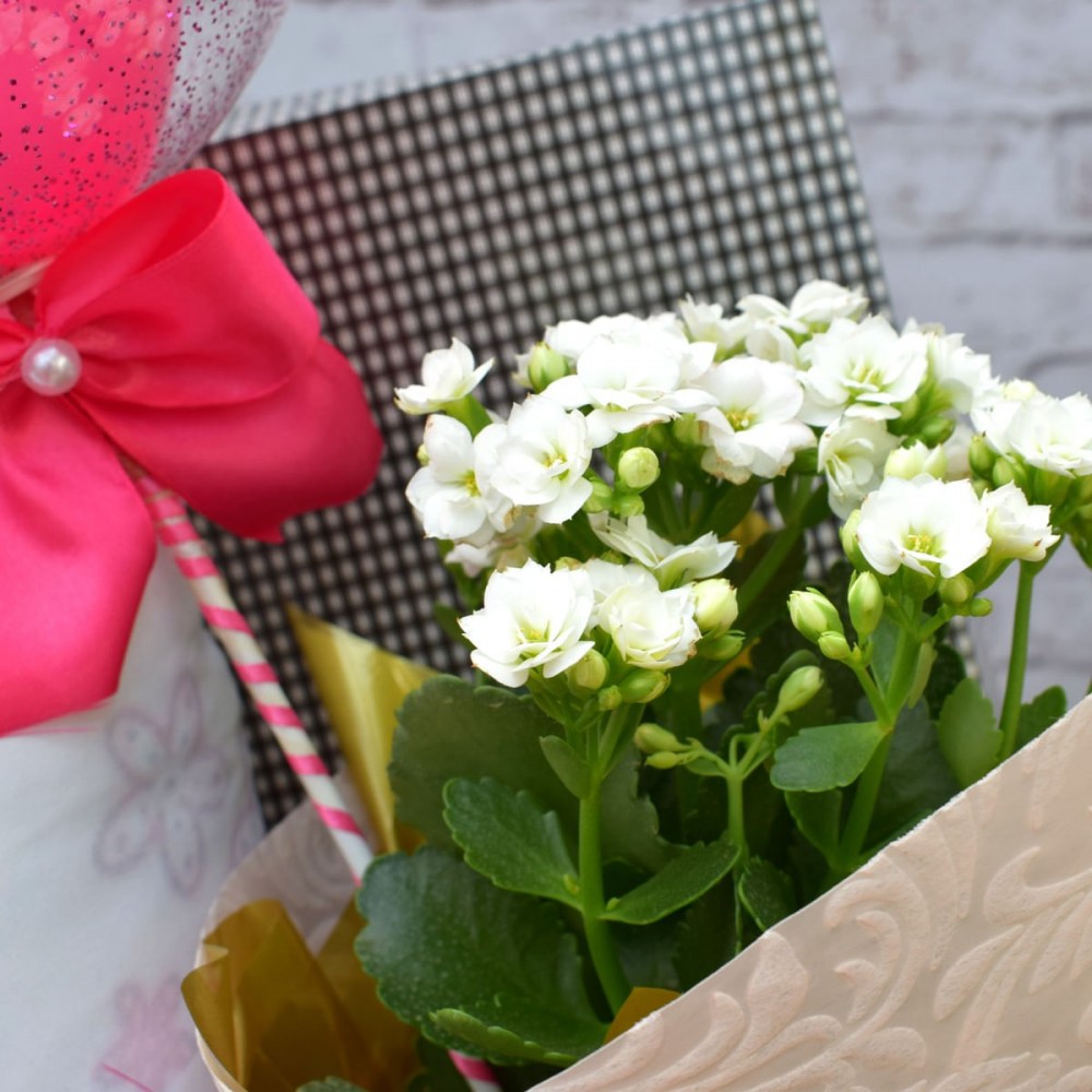 ccce2f5310044d4153436ab92361505e