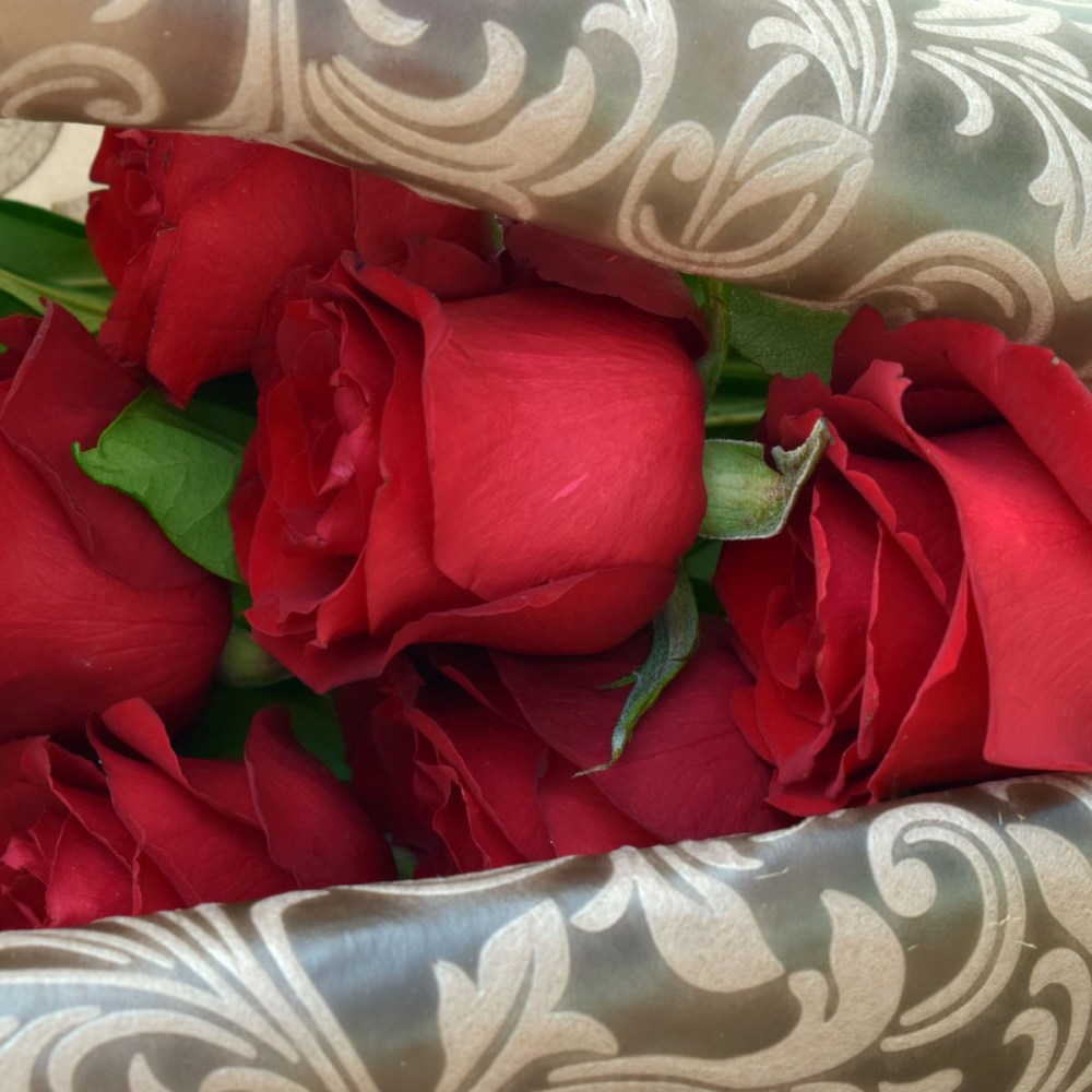 ccd2bfec6ca445516e6dee2cd792dcdb