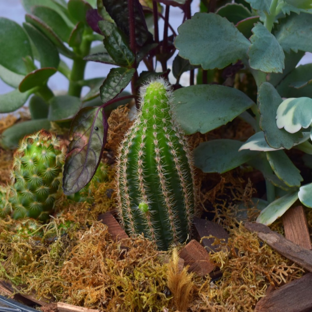 ce2fa02ae01c55add79c058834377751