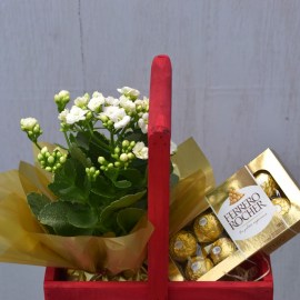 cf87614a6b28a60a7bf326756e7670f9