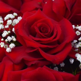 d0dd0f330cf9c69a43f35baa7ea76777