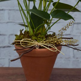 d13bdbfc4669495d1e7fbd7d7f39a811