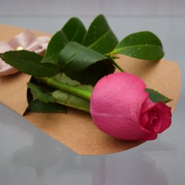 d17afd828f136e1f3d1abd075613ac05