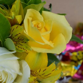 d2e69e7554e9ad0d4d5778002ae64b16