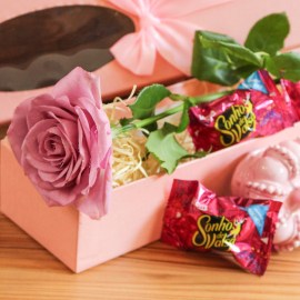 d4f852c7f8a7e4461bccd5704d1a6fa4