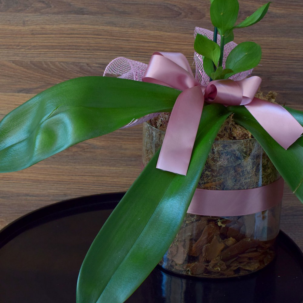 d593c5e95aff5c235890ef6de011d5be