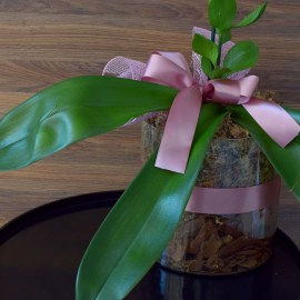 d593c5e95aff5c235890ef6de011d5be