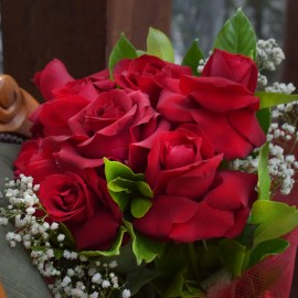 d86d79f8f977a8d55fe82f982d3bbf21