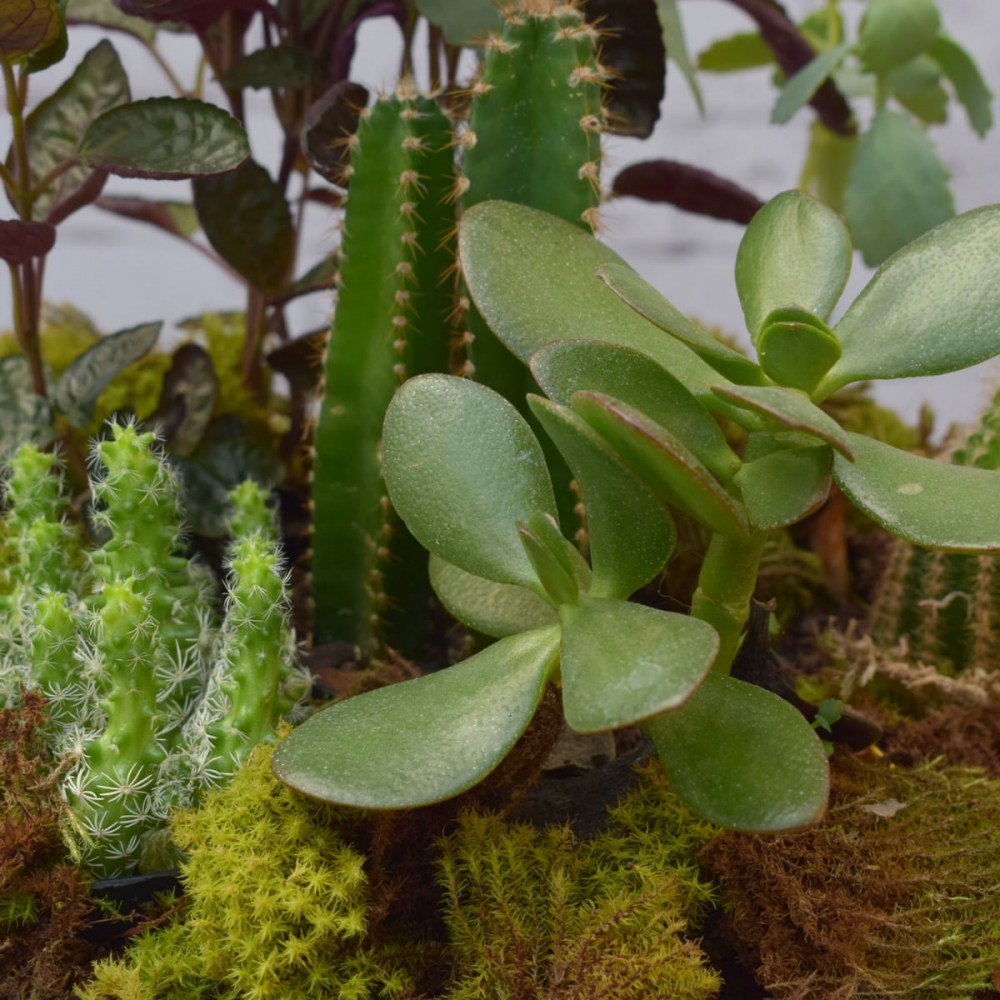 d92be966e3be4038f02eeb1523bc9cb5