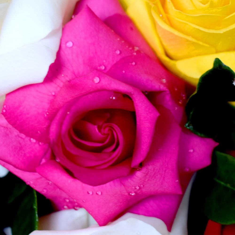 d95d4d44064d204bad0a65fd1e8b23bc